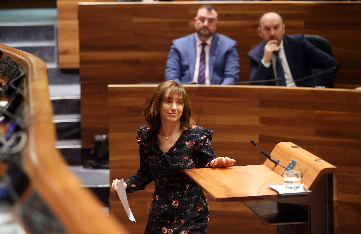 Fotos Los Presupuestos Para Asturias Superan El Debate A La Totalidad